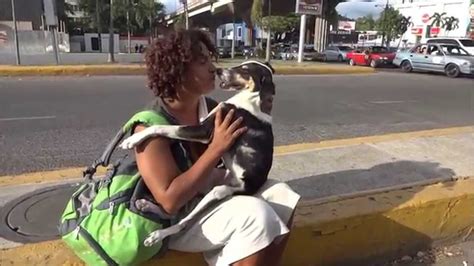 mujer follando con perro|Video de chica follando perro con orgasmos reales